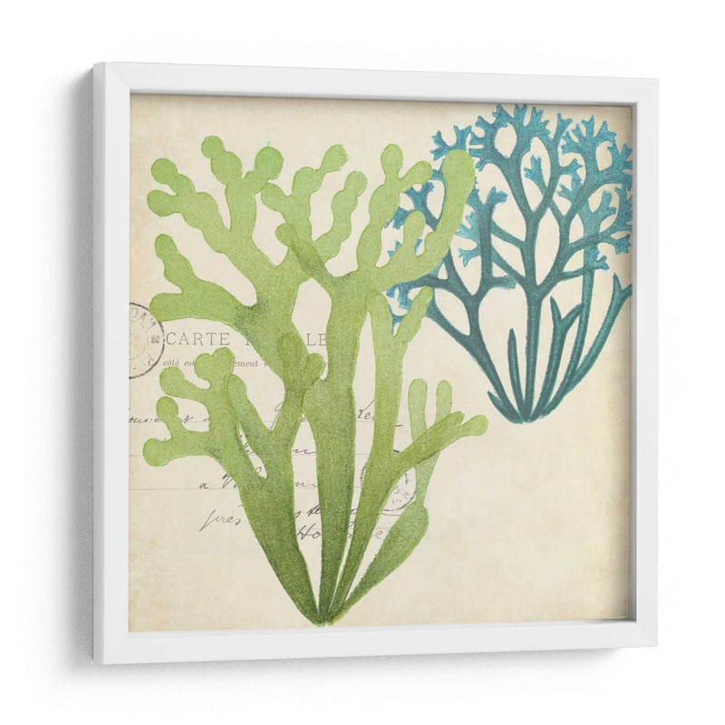 Superposición De Algas De Algas Ii - Studio W | Cuadro decorativo de Canvas Lab