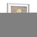 Miércoles Blooms Ii - Grace Popp | Cuadro decorativo de Canvas Lab