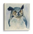 Medianoche Aves I - Grace Popp | Cuadro decorativo de Canvas Lab