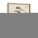 Floraciones De Lavanda Ii | Cuadro decorativo de Canvas Lab