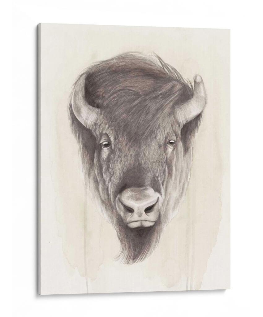 American Wilderness Ii - Grace Popp | Cuadro decorativo de Canvas Lab