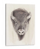 American Wilderness Ii - Grace Popp | Cuadro decorativo de Canvas Lab