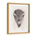 American Wilderness Ii - Grace Popp | Cuadro decorativo de Canvas Lab