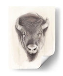 American Wilderness Ii - Grace Popp | Cuadro decorativo de Canvas Lab