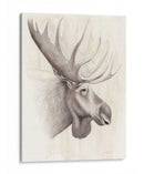 American Wilderness Iv - Grace Popp | Cuadro decorativo de Canvas Lab