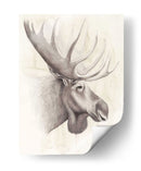 American Wilderness Iv - Grace Popp | Cuadro decorativo de Canvas Lab