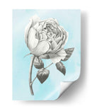 Grafito Rosa Ii - Grace Popp | Cuadro decorativo de Canvas Lab