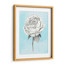 Grafito Rosa Iv - Grace Popp | Cuadro decorativo de Canvas Lab