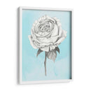 Grafito Rosa Iv - Grace Popp | Cuadro decorativo de Canvas Lab