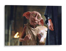 Dobby emocionado | Cuadro decorativo de Canvas Lab