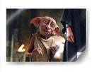 Dobby emocionado | Cuadro decorativo de Canvas Lab