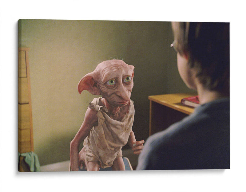 Dobby y Harry | Cuadro decorativo de Canvas Lab