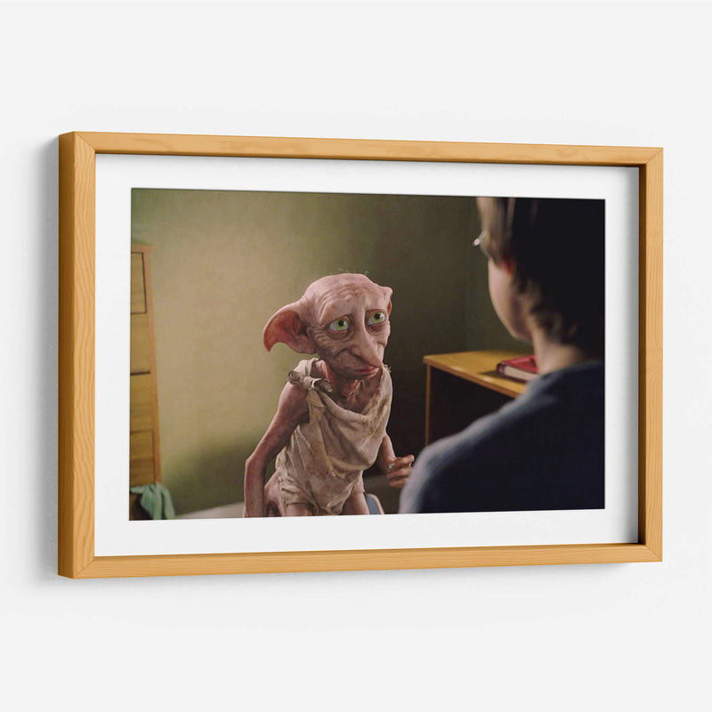 Dobby y Harry | Cuadro decorativo de Canvas Lab