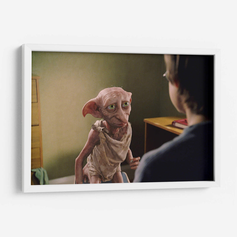 Dobby y Harry | Cuadro decorativo de Canvas Lab