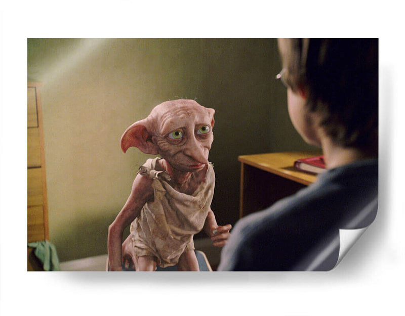 Dobby y Harry | Cuadro decorativo de Canvas Lab