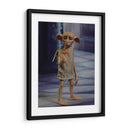 Full shot Dobby | Cuadro decorativo de Canvas Lab