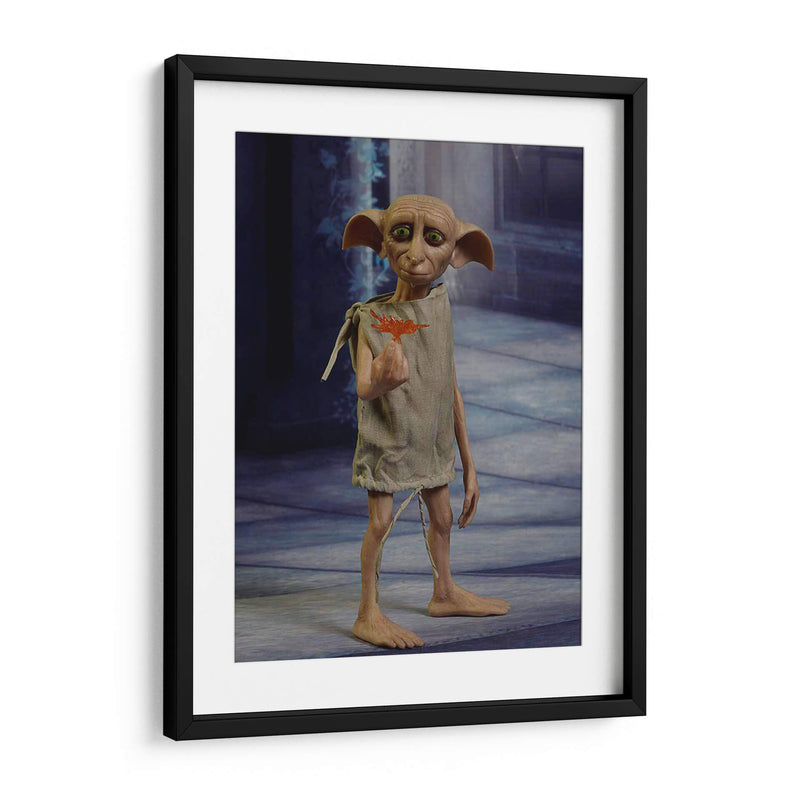 Full shot Dobby | Cuadro decorativo de Canvas Lab