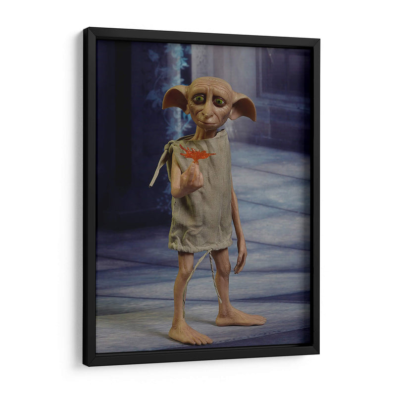 Full shot Dobby | Cuadro decorativo de Canvas Lab