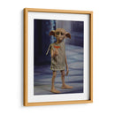 Full shot Dobby | Cuadro decorativo de Canvas Lab