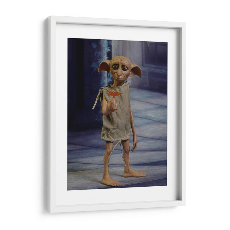 Full shot Dobby | Cuadro decorativo de Canvas Lab