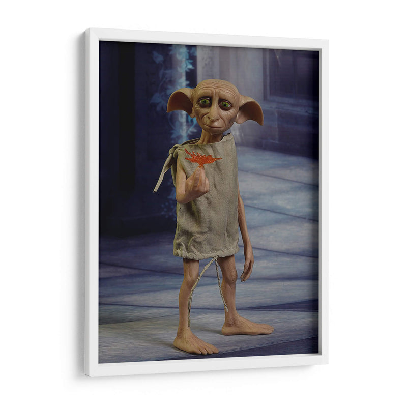 Full shot Dobby | Cuadro decorativo de Canvas Lab