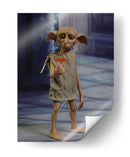 Full shot Dobby | Cuadro decorativo de Canvas Lab