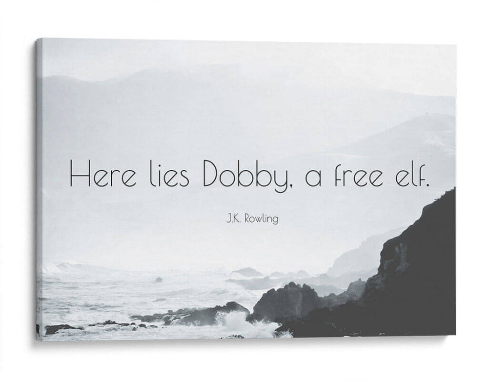 Aquí yace Dobby | Cuadro decorativo de Canvas Lab