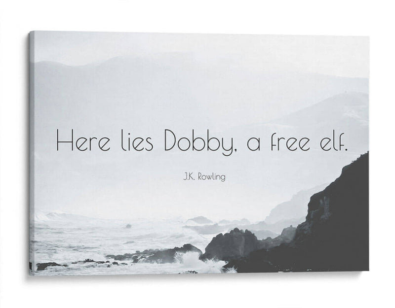 Aquí yace Dobby | Cuadro decorativo de Canvas Lab