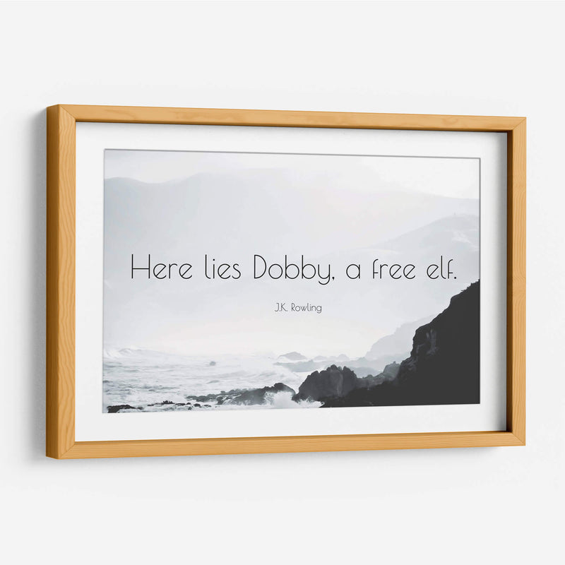 Aquí yace Dobby | Cuadro decorativo de Canvas Lab