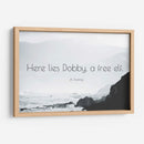 Aquí yace Dobby | Cuadro decorativo de Canvas Lab