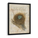 Nido - Mirlo - Elissa Della-Piana | Cuadro decorativo de Canvas Lab