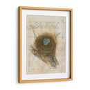 Nido - Mirlo - Elissa Della-Piana | Cuadro decorativo de Canvas Lab