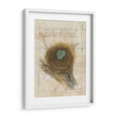 Nido - Mirlo - Elissa Della-Piana | Cuadro decorativo de Canvas Lab