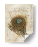 Nido - Mirlo - Elissa Della-Piana | Cuadro decorativo de Canvas Lab