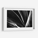 Maguey 1 - HCTR | Cuadro decorativo de Canvas Lab