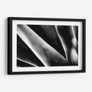 Maguey 2 - HCTR | Cuadro decorativo de Canvas Lab