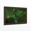 Cuadro decorativo de Canvas Lab