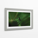 Cuadro decorativo de Canvas Lab