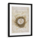 Nido - Empavesado - Elissa Della-Piana | Cuadro decorativo de Canvas Lab