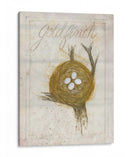 Nido - Goldfinch - Elissa Della-Piana | Cuadro decorativo de Canvas Lab
