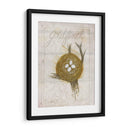 Nido - Goldfinch - Elissa Della-Piana | Cuadro decorativo de Canvas Lab