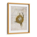 Nido - Goldfinch - Elissa Della-Piana | Cuadro decorativo de Canvas Lab