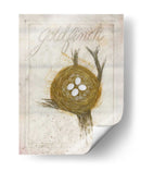 Nido - Goldfinch - Elissa Della-Piana | Cuadro decorativo de Canvas Lab