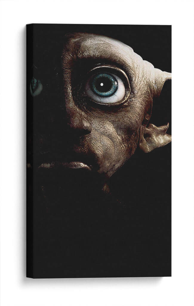 Dobby en las sombras | Cuadro decorativo de Canvas Lab