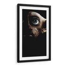 Dobby en las sombras | Cuadro decorativo de Canvas Lab