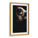 Dobby en las sombras | Cuadro decorativo de Canvas Lab