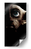 Dobby en las sombras | Cuadro decorativo de Canvas Lab