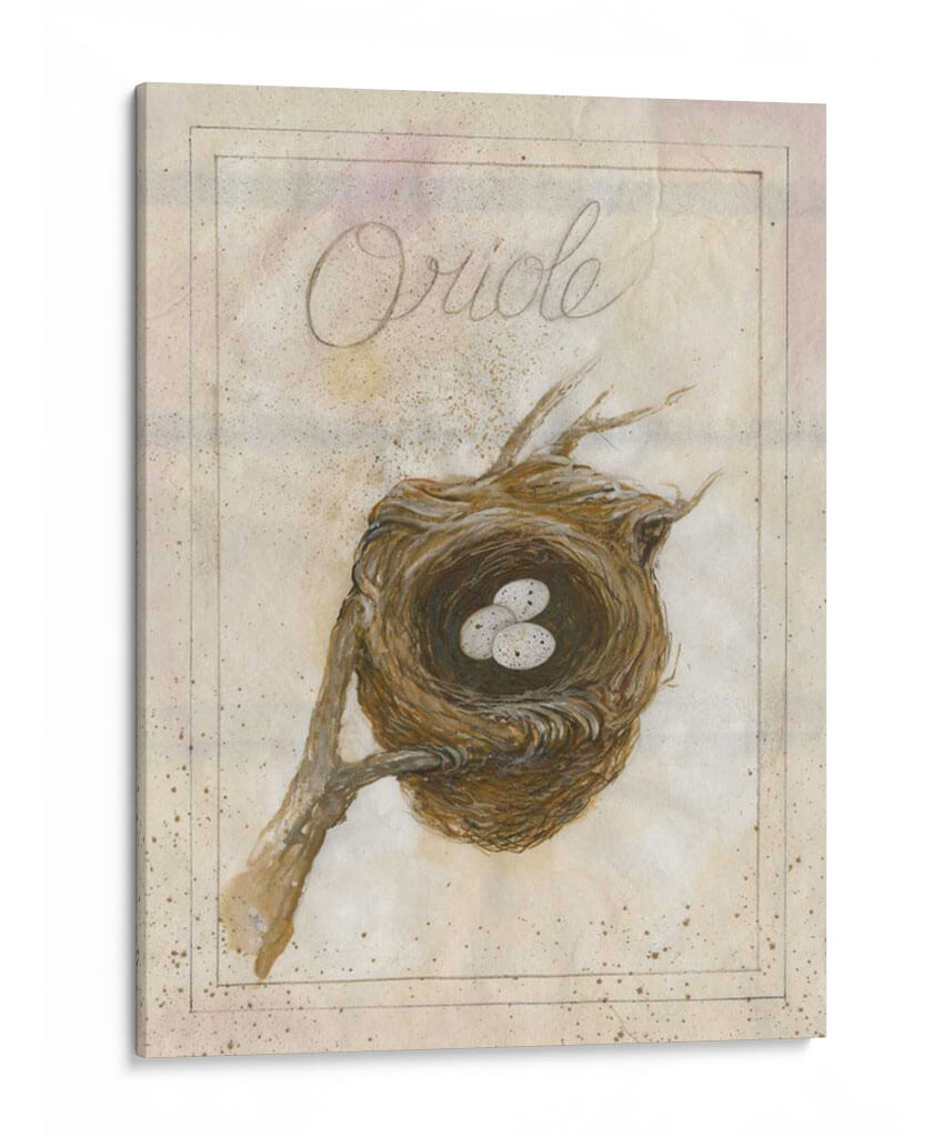 Nido - Oriole - Elissa Della-Piana | Cuadro decorativo de Canvas Lab