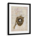 Nido - Oriole - Elissa Della-Piana | Cuadro decorativo de Canvas Lab