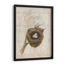 Nido - Oriole - Elissa Della-Piana | Cuadro decorativo de Canvas Lab
